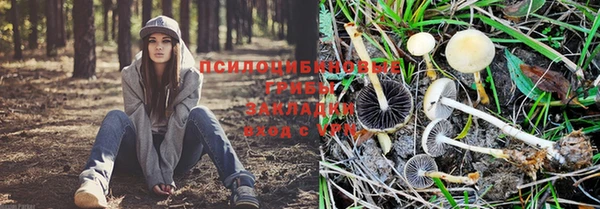 кристаллы Богданович