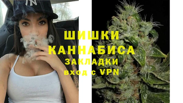 mix Богородицк
