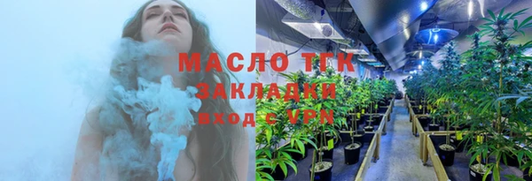 mix Богородицк