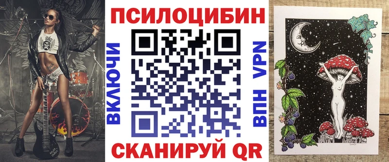 Галлюциногенные грибы Psilocybe  Лысково 